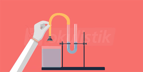 Fen Bilimleri öğretmeni